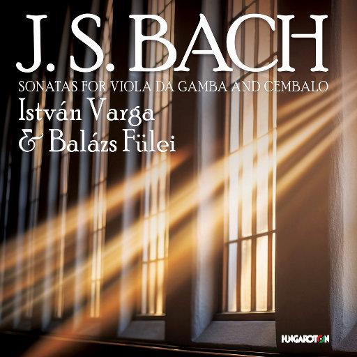 FreeXXXPorn高潮合集
